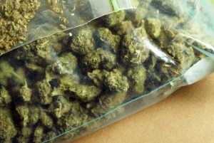 bags of marijuana